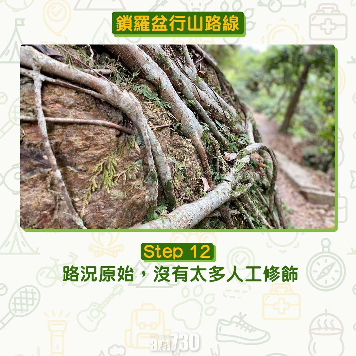 鎖羅盆行山路線