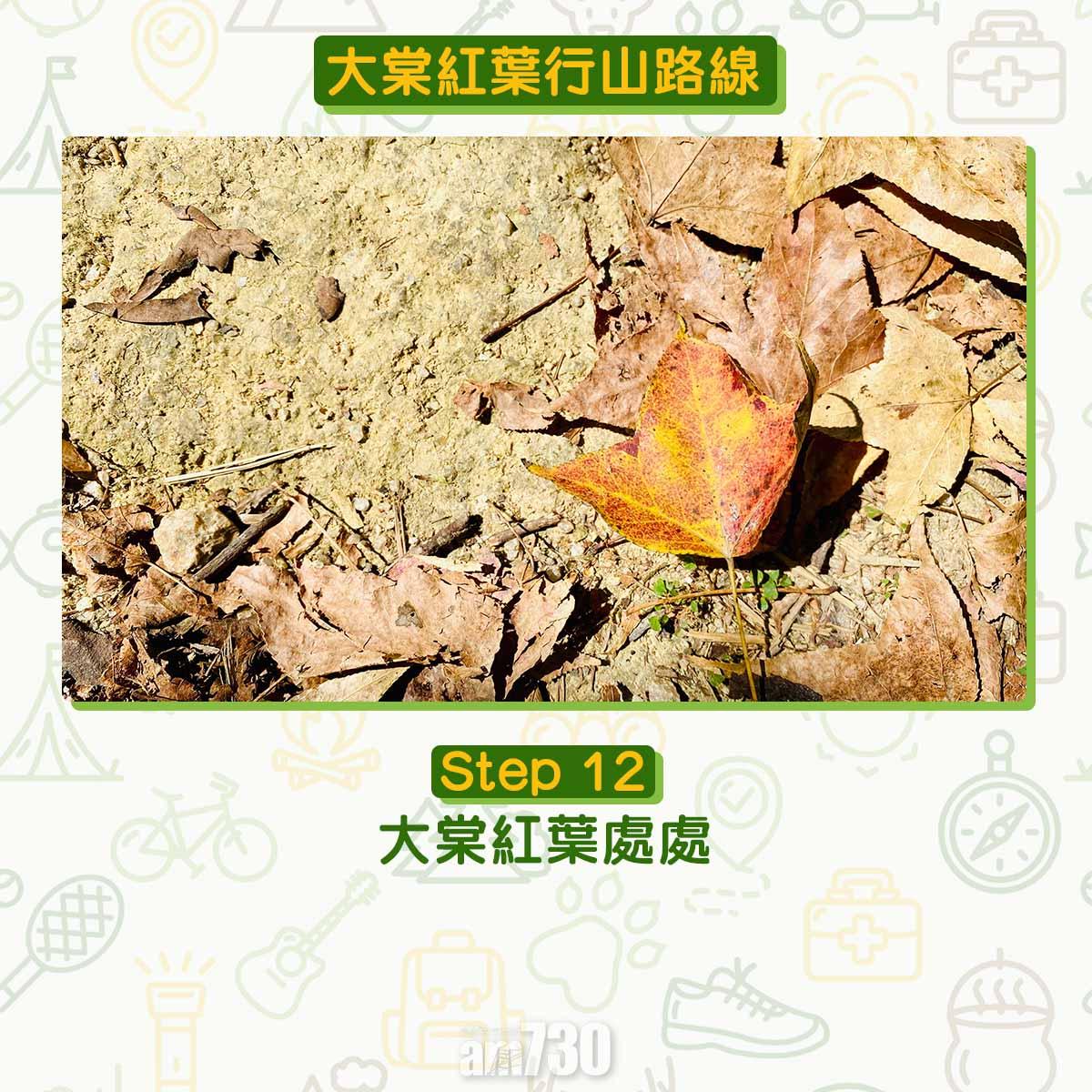 大棠紅葉行山路線