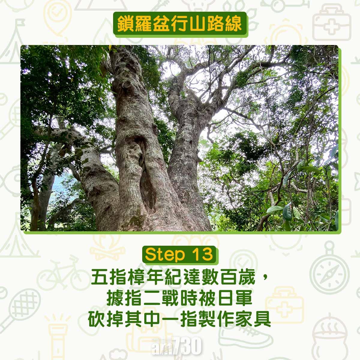 鎖羅盆行山路線