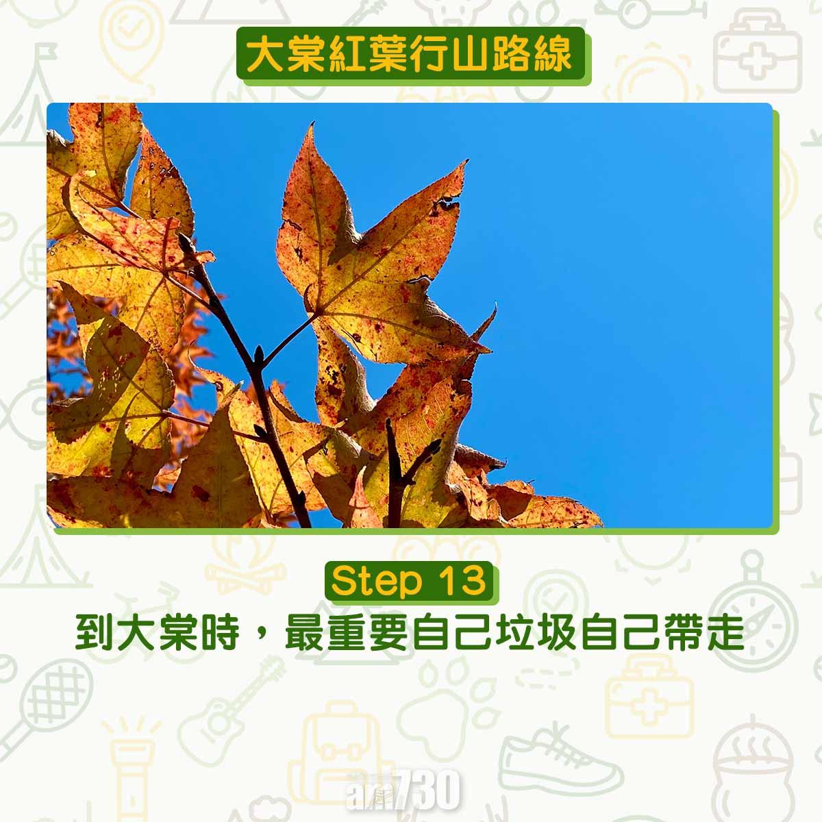 大棠紅葉行山路線