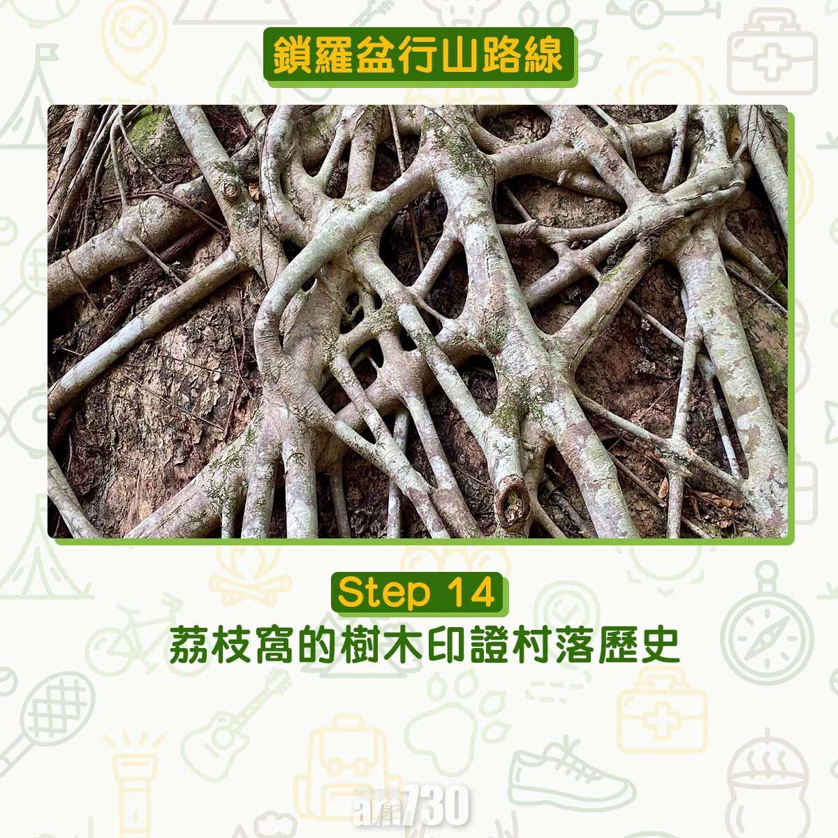 鎖羅盆行山路線