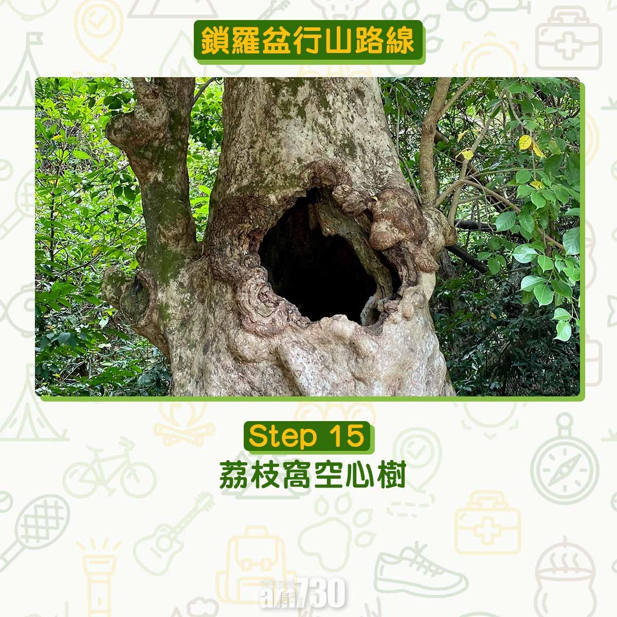 鎖羅盆行山路線