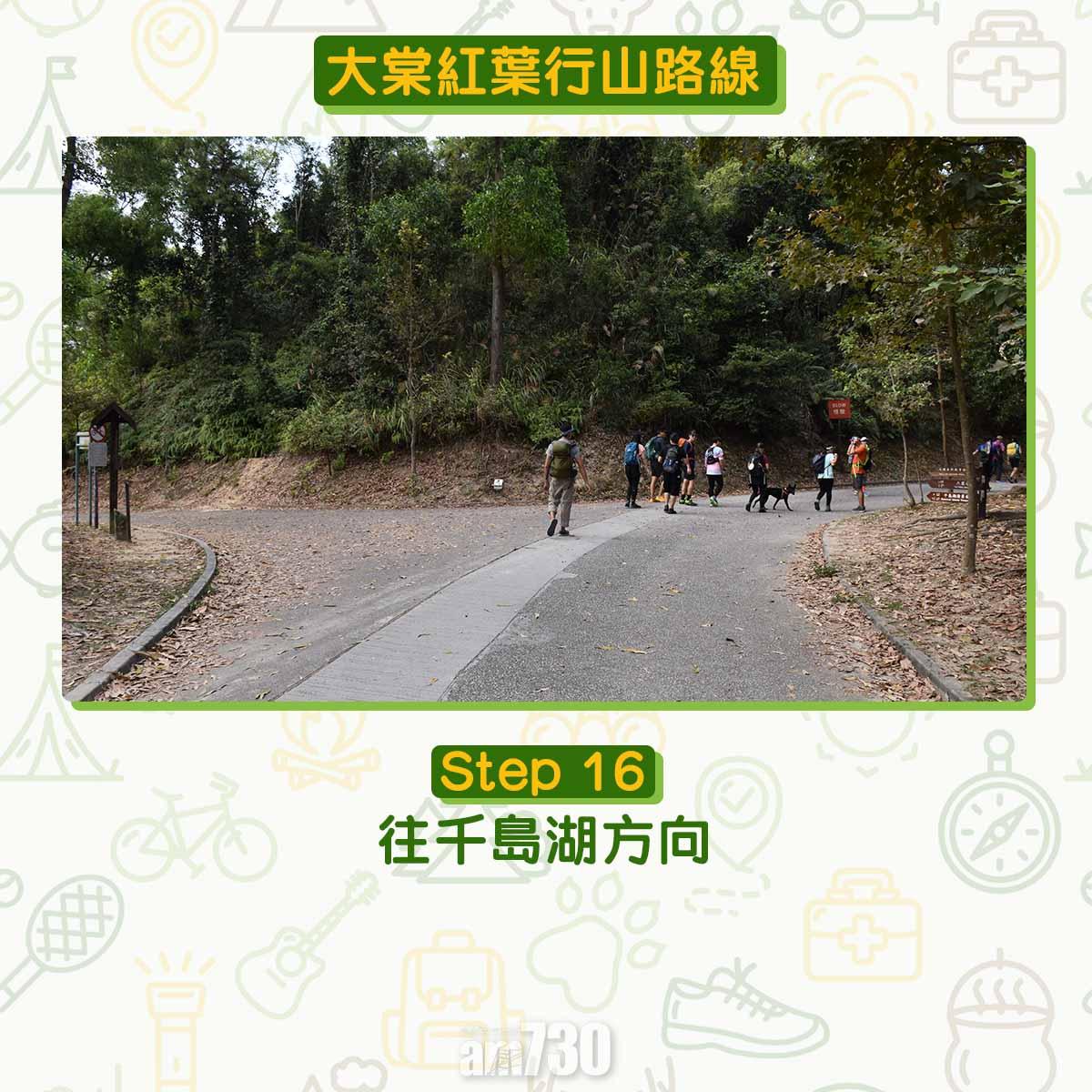 大棠紅葉行山路線