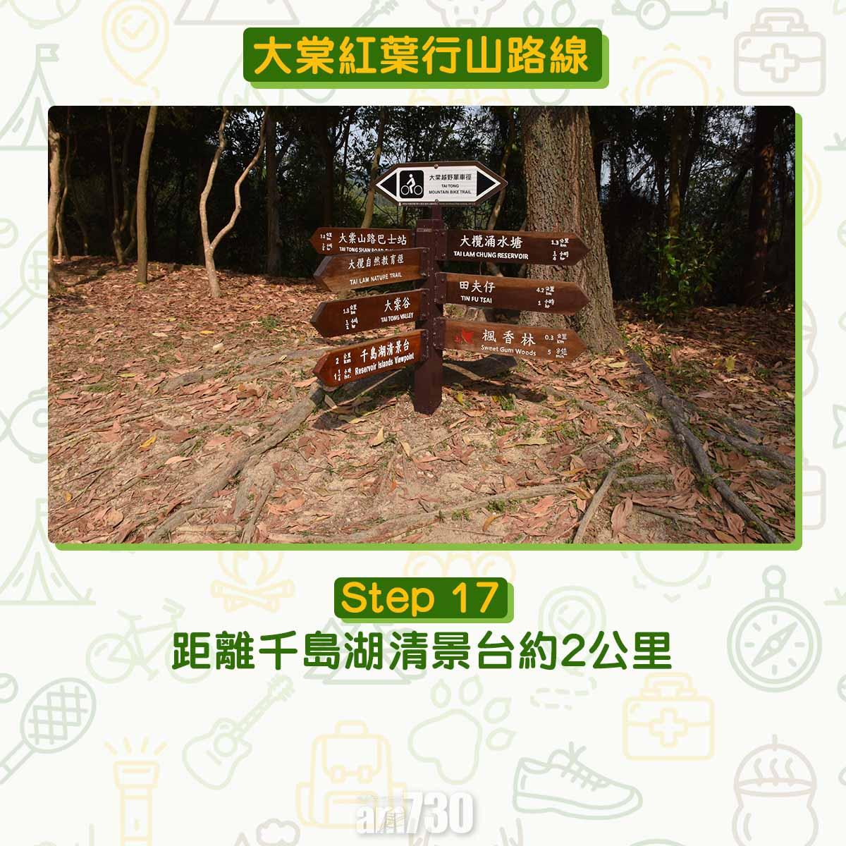 大棠紅葉行山路線