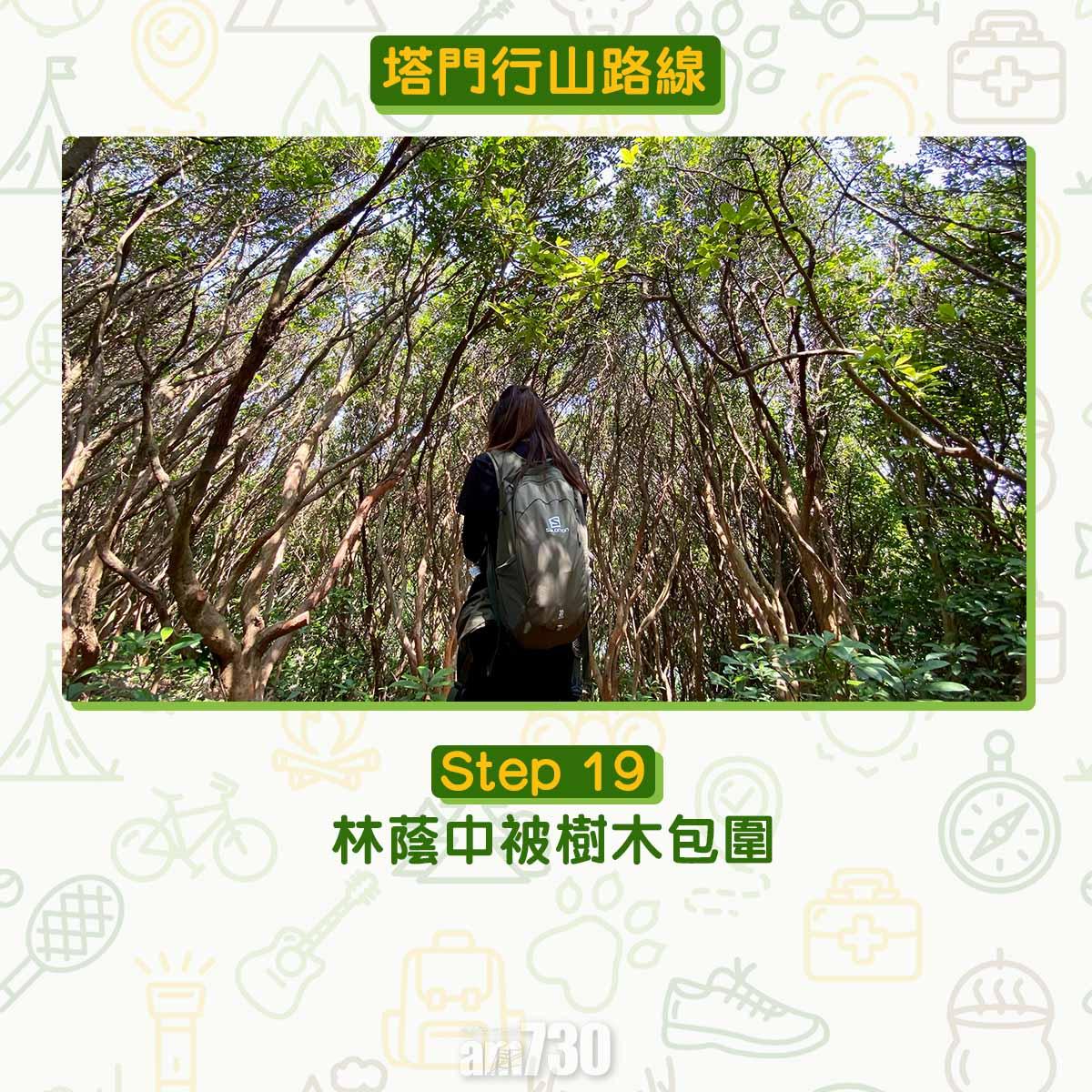 塔門行山路線