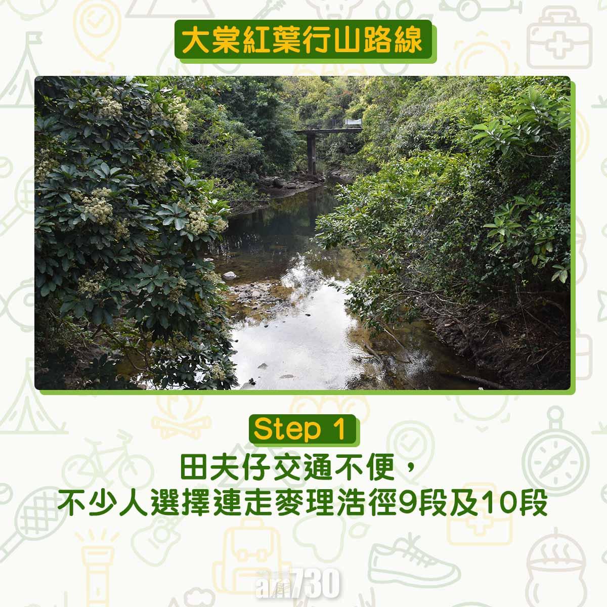 大棠紅葉行山路線