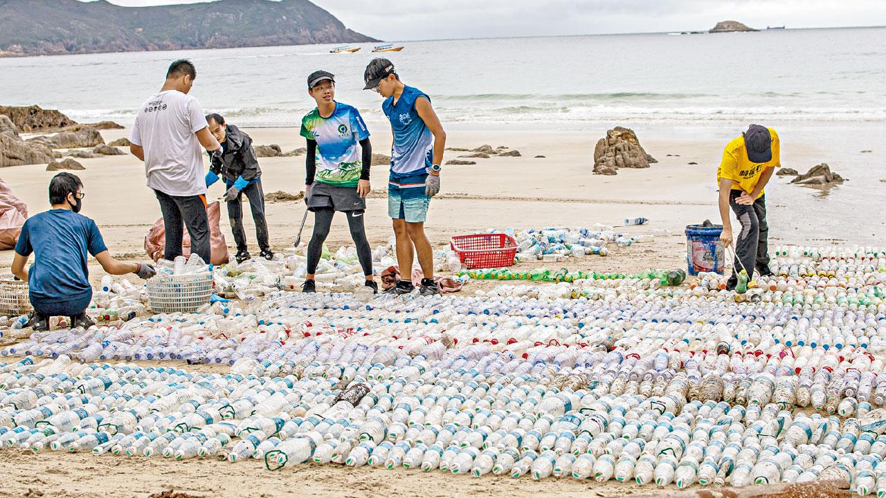 環團灘岸年拾4.3萬膠樽 促下屆政府加快立法規管