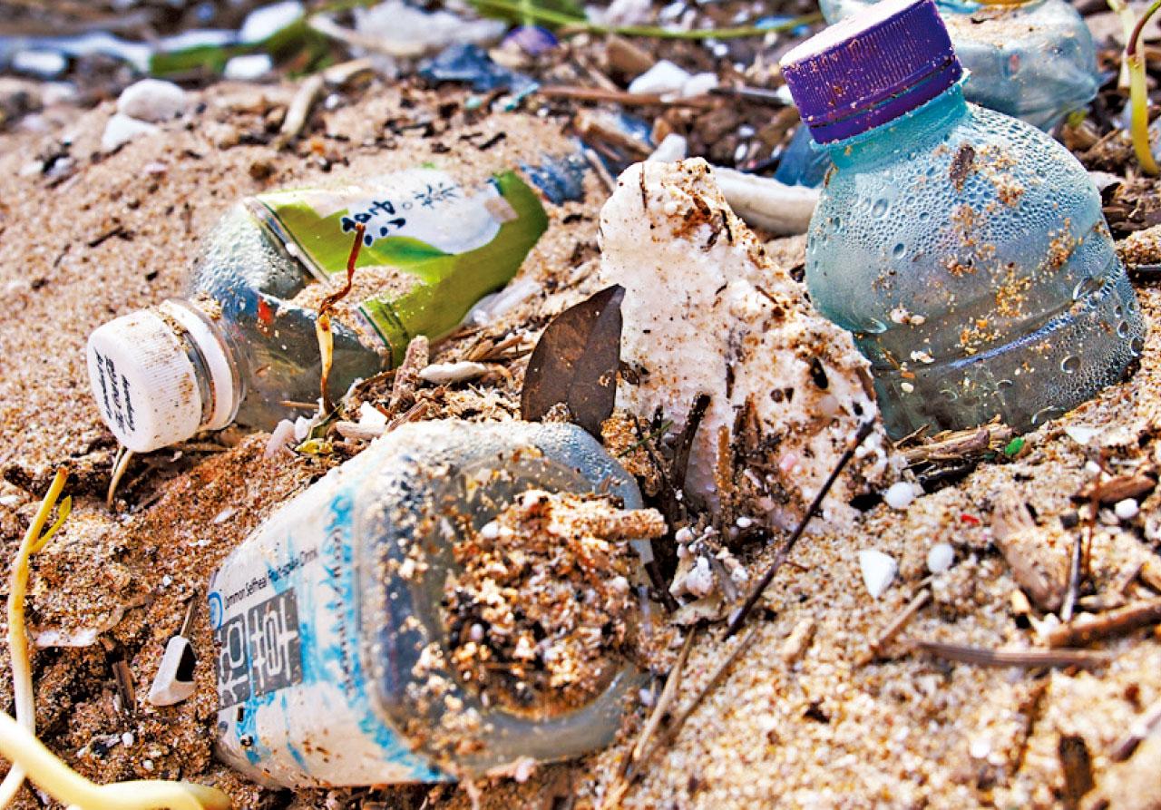 環團灘岸年拾4.3萬膠樽 促下屆政府加快立法規管