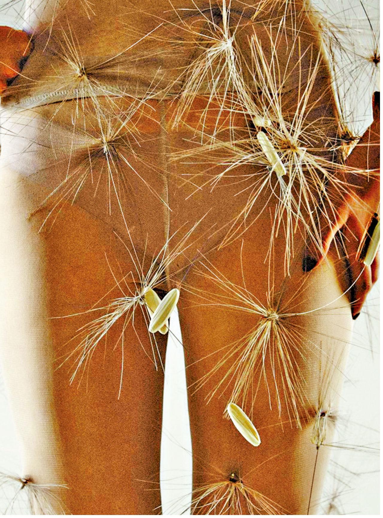 聖馬丁畢業展 叫人驚艷的蒲公英