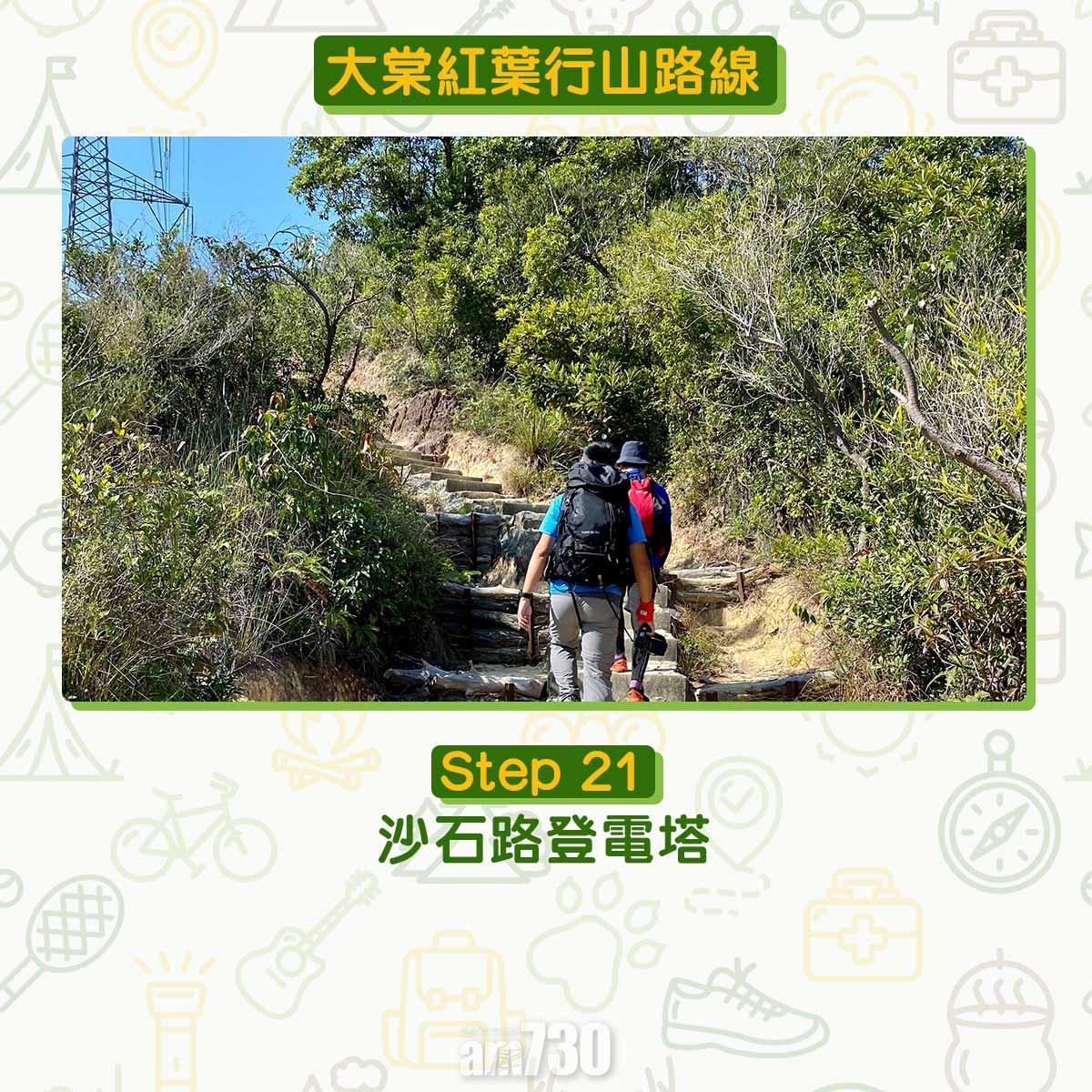 大棠紅葉行山路線