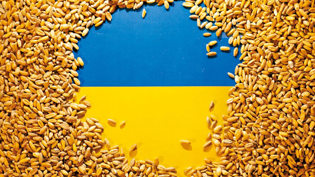 聯合國:戰事影響94國16億人 俄烏建糧食走廊談判停滯