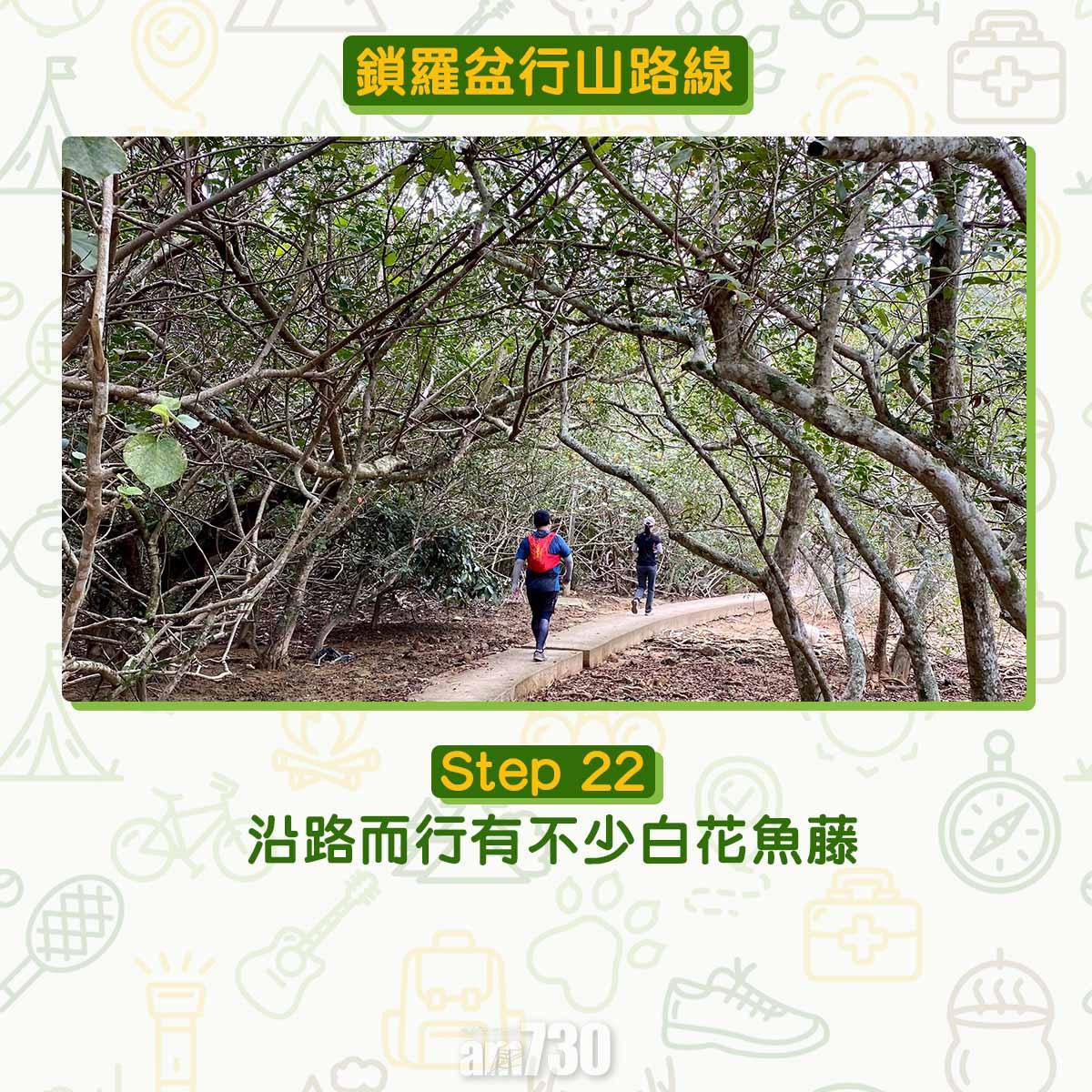 鎖羅盆行山路線
