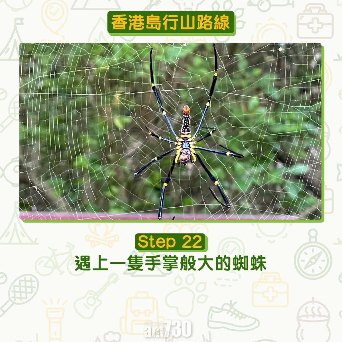 香港島紅香爐峰行山路線