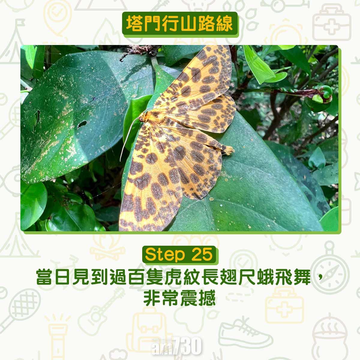 塔門行山路線