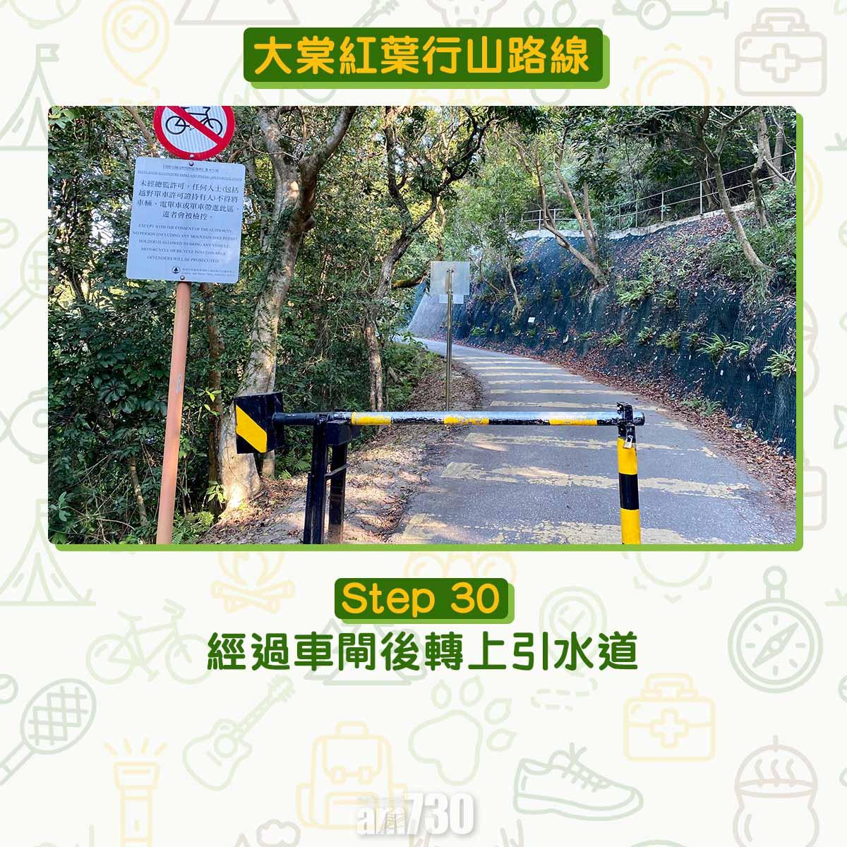大棠紅葉行山路線