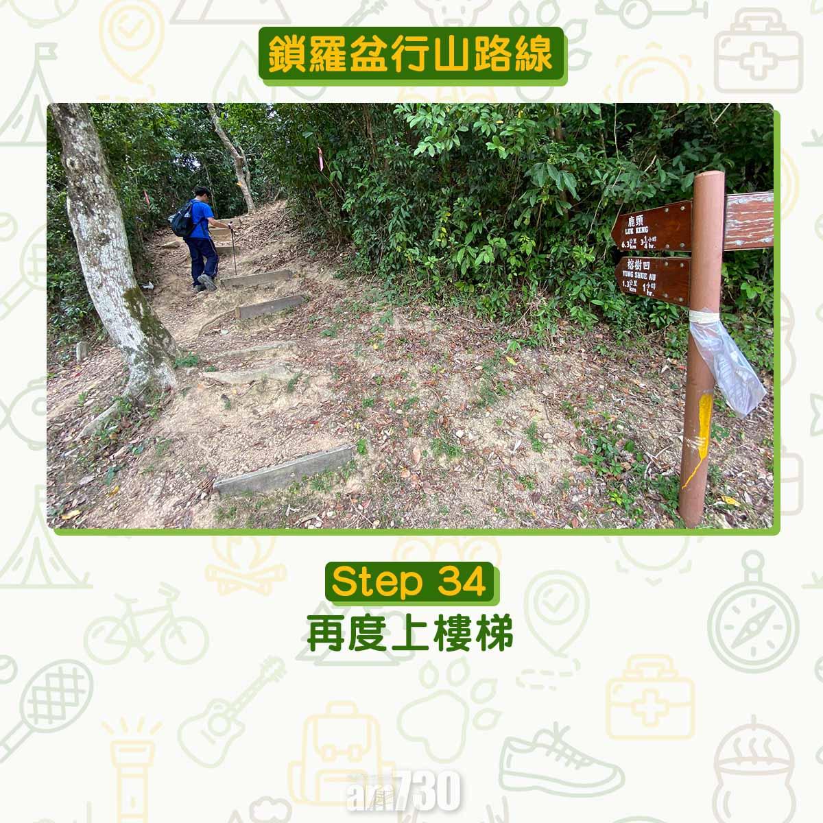 鎖羅盆行山路線