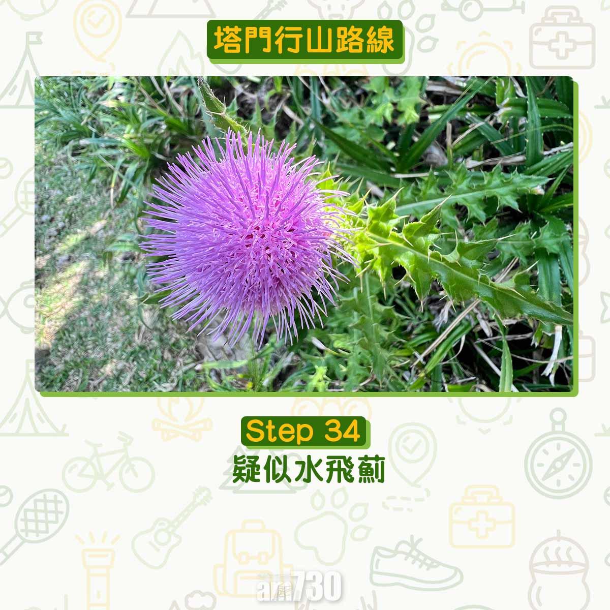 塔門行山路線