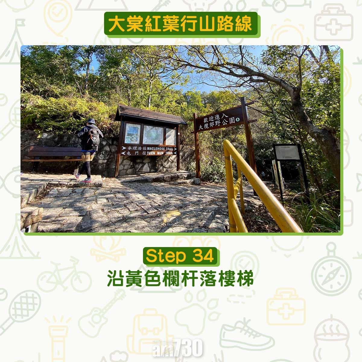 大棠紅葉行山路線