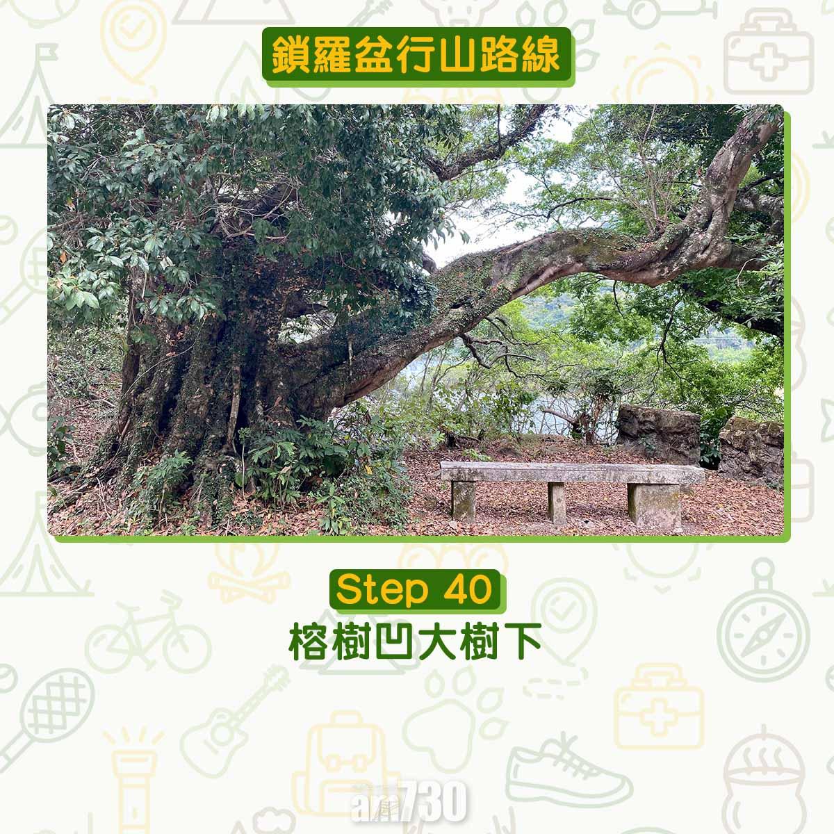 鎖羅盆行山路線