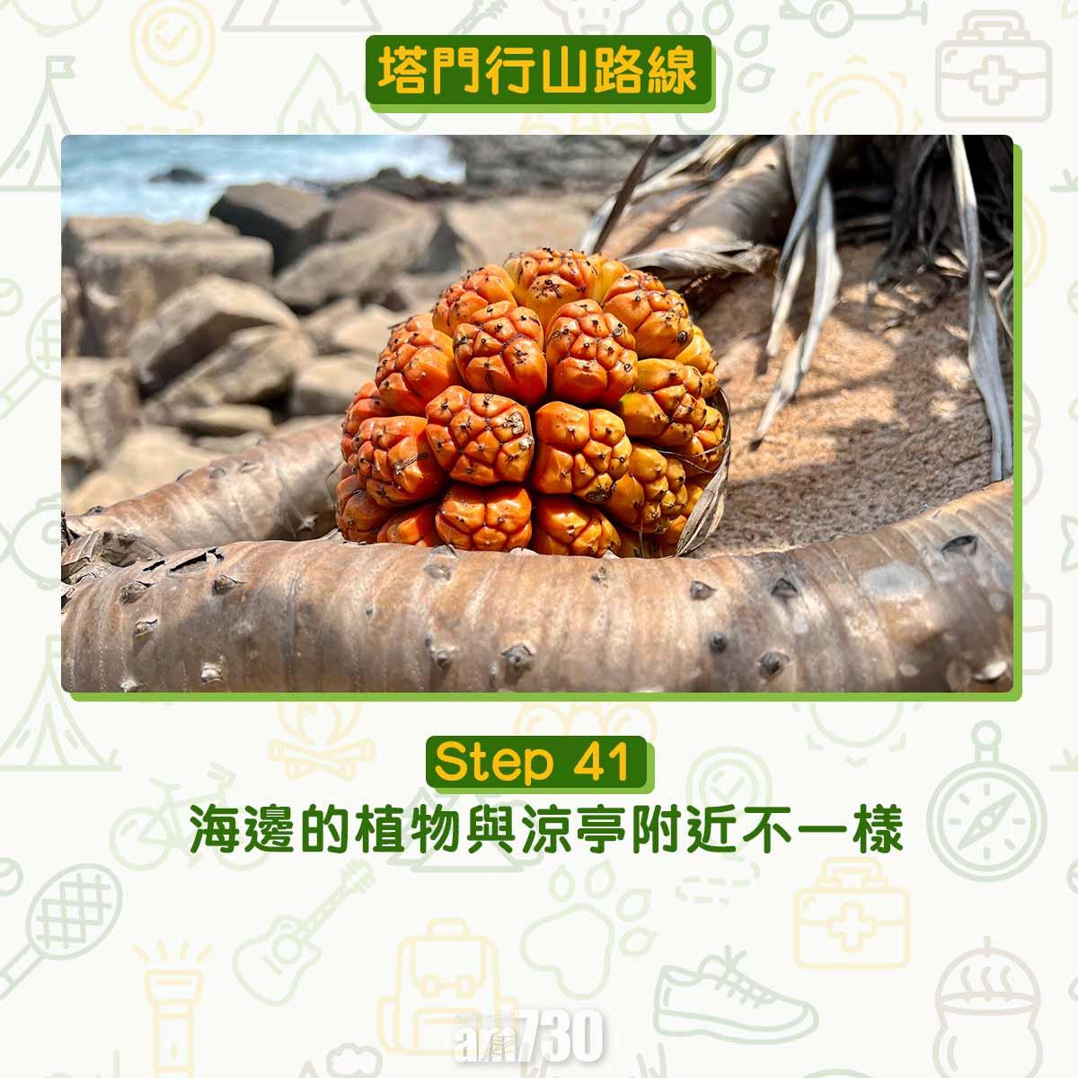塔門行山路線