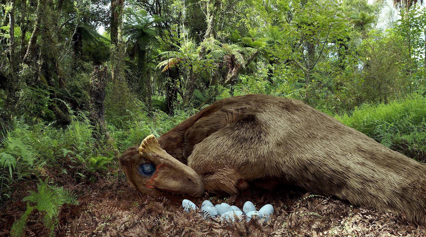 每日放映兩場 節目片長41分鐘