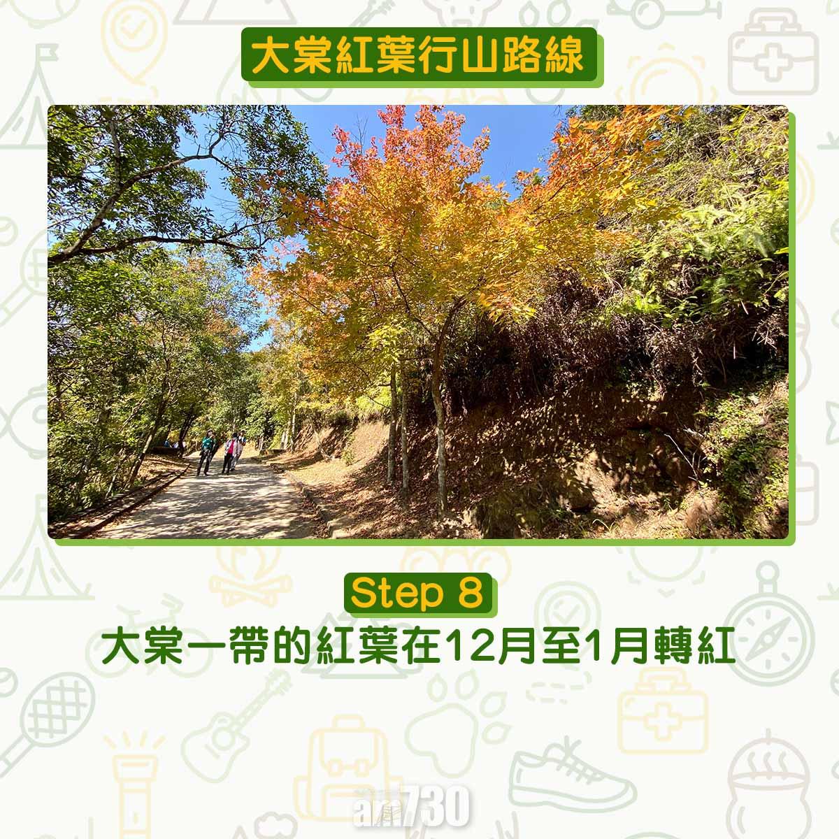 大棠紅葉行山路線