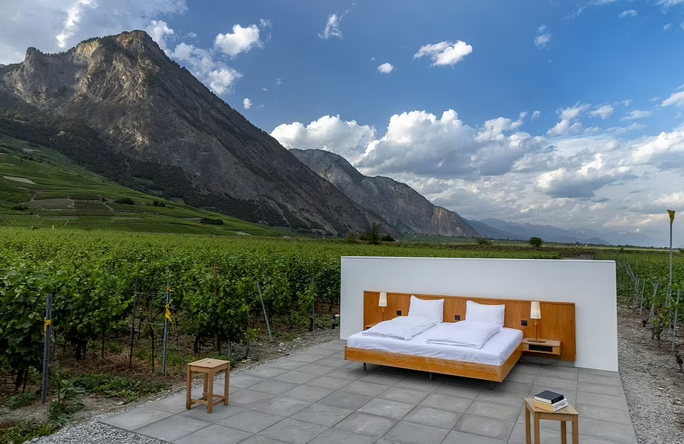 設在酒莊葡萄園內的快閃套房。(路透社)