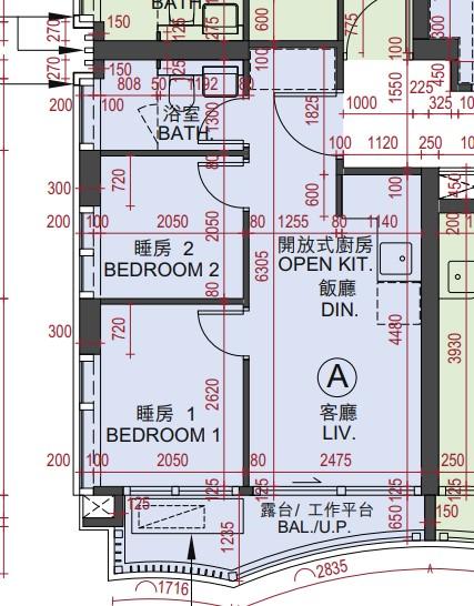 紅磡新盤|必嘉坊.曦匯暫收近800票 超購逾4.8倍