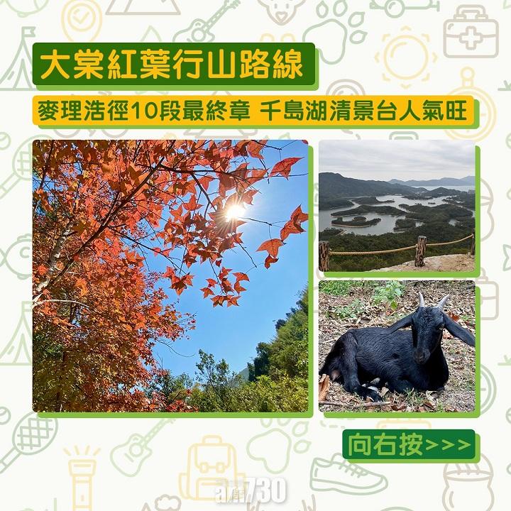 大棠紅葉行山路線