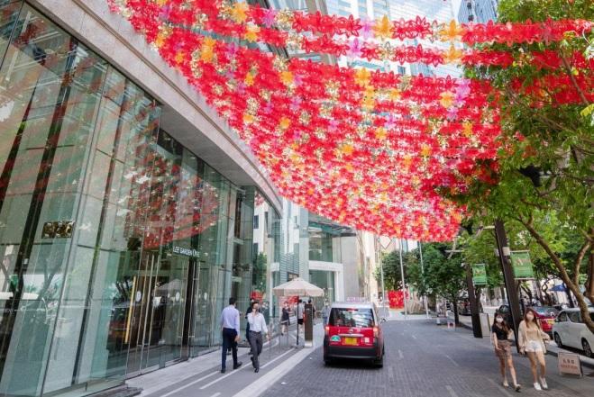 利園一期行車路上繁花盛放。