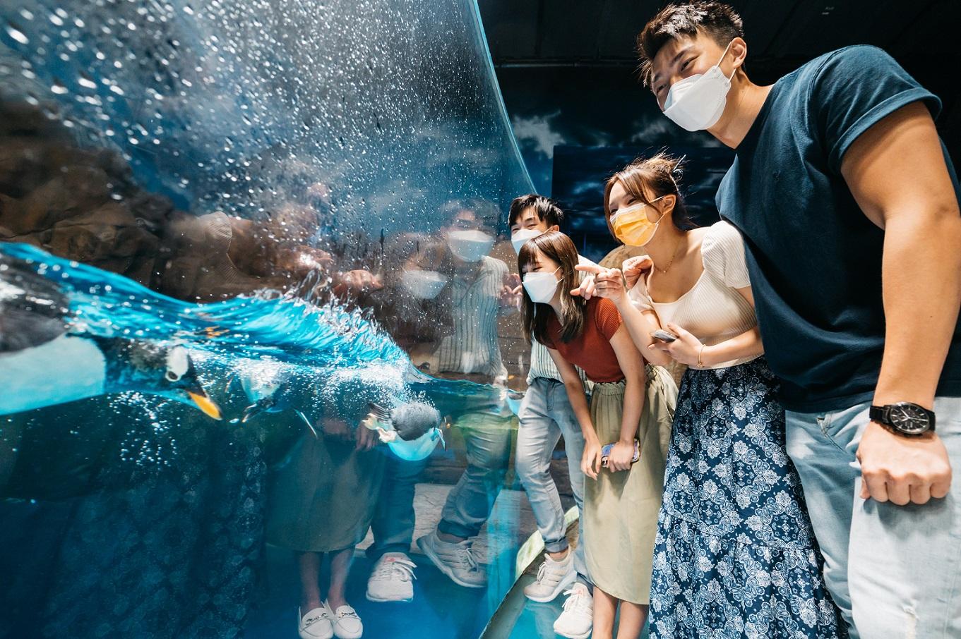 海洋公園將與城中酒店合作,推出staycation套票