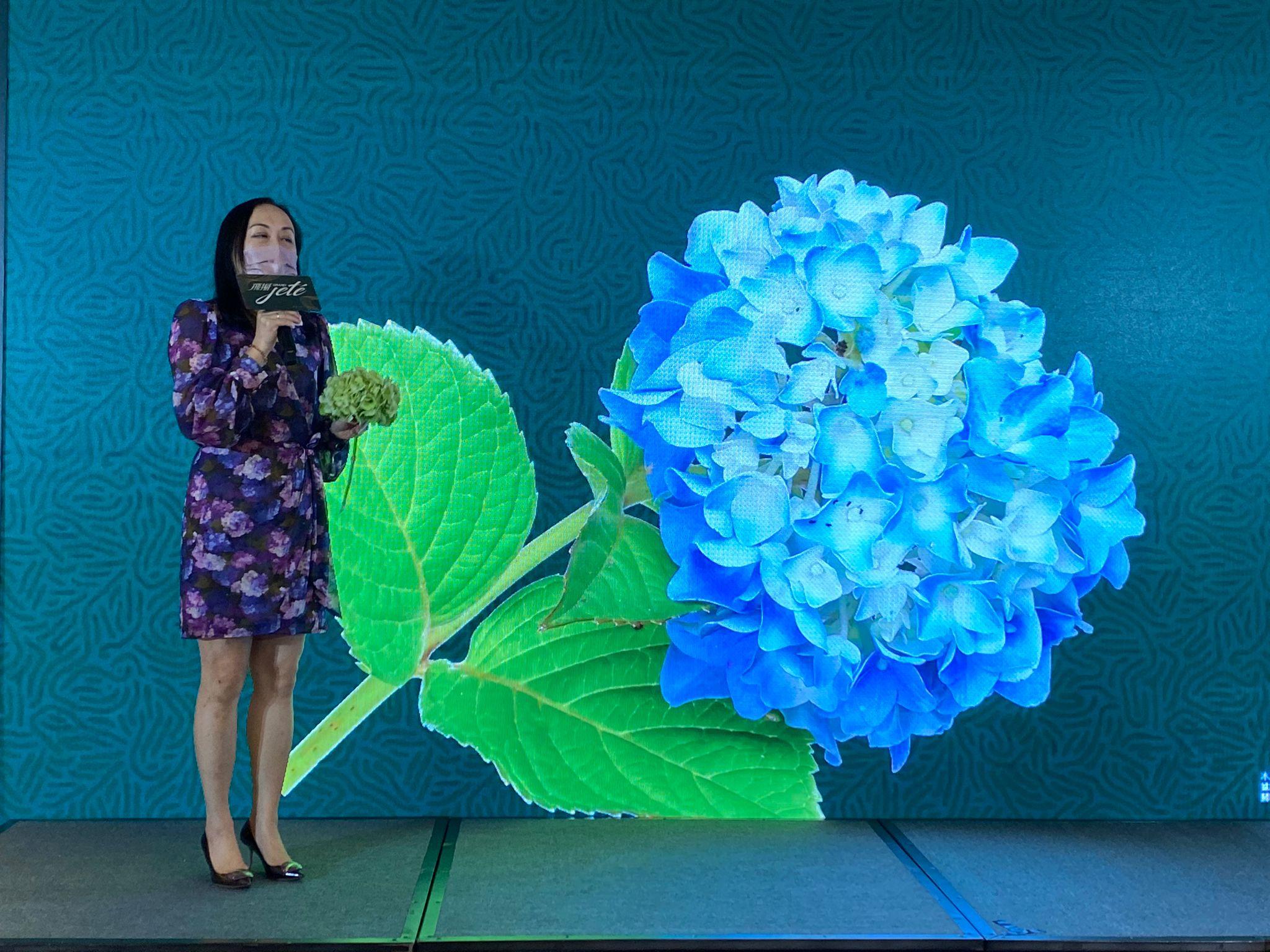 屯門新盤|飛揚第一期單位戶型布局曝光!部署月內推售