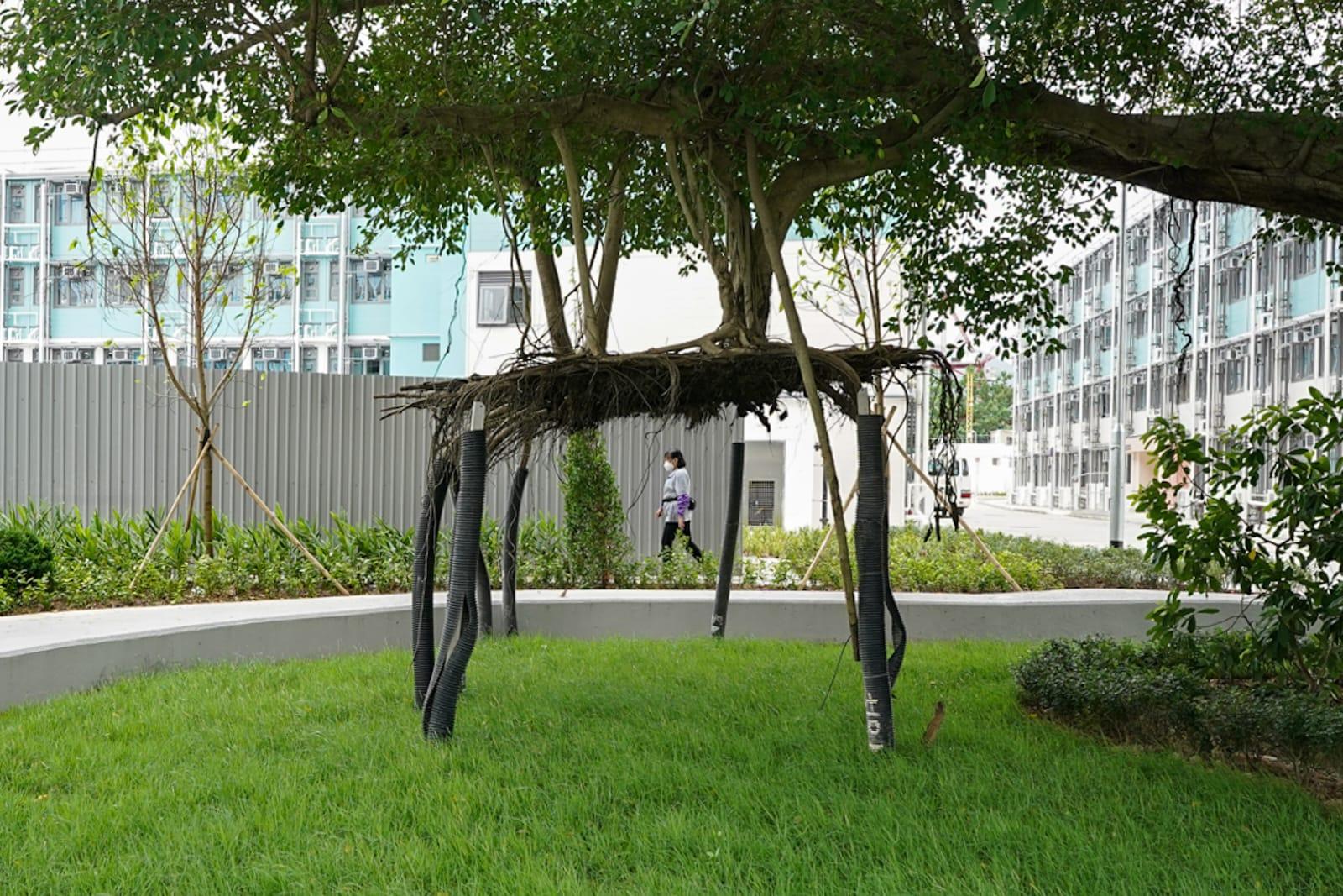 林鄭月娥及陳帆出席參觀元朗過渡性房屋項目「博愛江夏圍村」第一期單位。(李睿哲攝)