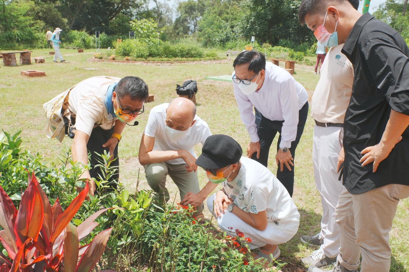 蝴蝶歸來|屯門小冷水堆填區「蛻變」保育區 6萬呎賞47個品種包括非常罕見長腹灰蝶