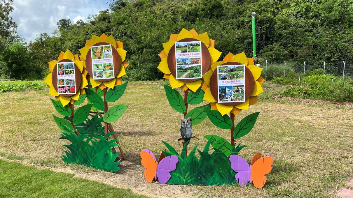 蝴蝶歸來|屯門小冷水堆填區「蛻變」保育區 6萬呎賞47個品種包括非常罕見長腹灰蝶