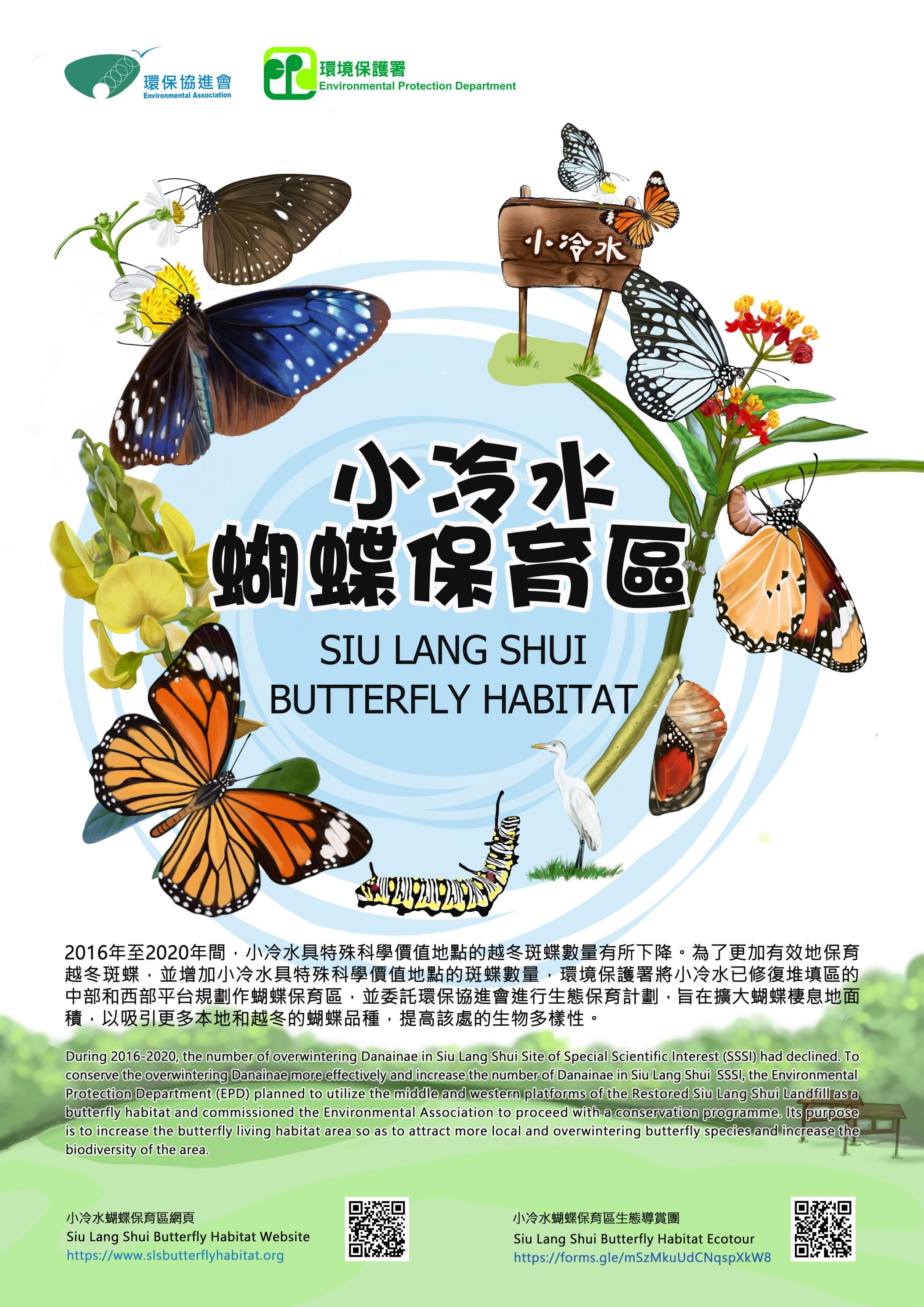 蝴蝶歸來|屯門小冷水堆填區「蛻變」保育區 6萬呎賞47個品種包括非常罕見長腹灰蝶