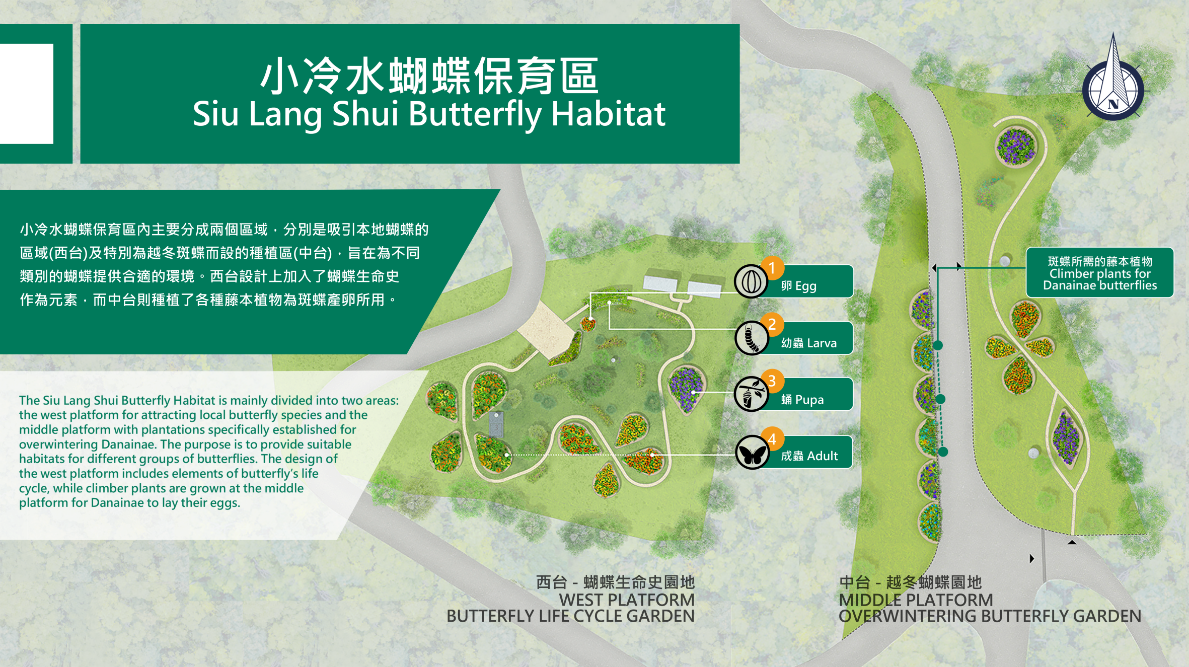 蝴蝶歸來|屯門小冷水堆填區「蛻變」保育區 6萬呎賞47個品種包括非常罕見長腹灰蝶