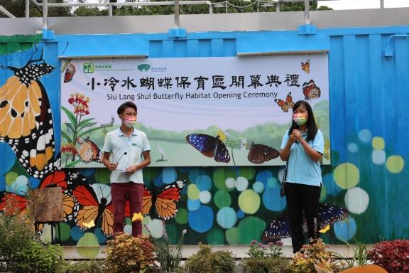 蝴蝶歸來|屯門小冷水堆填區「蛻變」保育區 6萬呎賞47個品種包括非常罕見長腹灰蝶