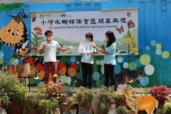 蝴蝶歸來|屯門小冷水堆填區「蛻變」保育區 6萬呎賞47個品種包括非常罕見長腹灰蝶