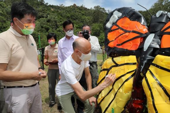 蝴蝶歸來|屯門小冷水堆填區「蛻變」保育區 6萬呎賞47個品種包括非常罕見長腹灰蝶