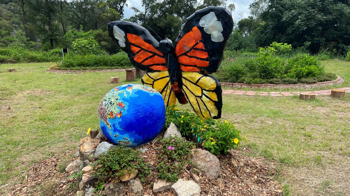 蝴蝶歸來|屯門小冷水堆填區「蛻變」保育區 6萬呎賞47個品種包括非常罕見長腹灰蝶