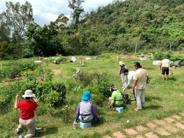 蝴蝶歸來|屯門小冷水堆填區「蛻變」保育區 6萬呎賞47個品種包括非常罕見長腹灰蝶