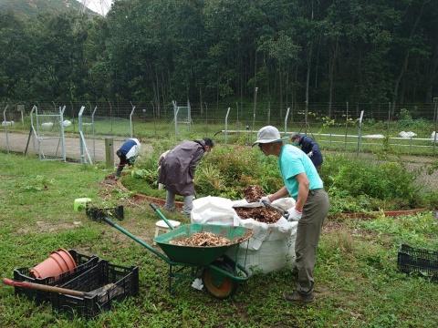 蝴蝶歸來|屯門小冷水堆填區「蛻變」保育區 6萬呎賞47個品種包括非常罕見長腹灰蝶