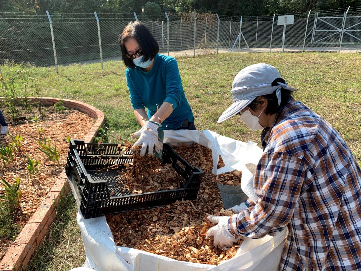 蝴蝶歸來|屯門小冷水堆填區「蛻變」保育區 6萬呎賞47個品種包括非常罕見長腹灰蝶