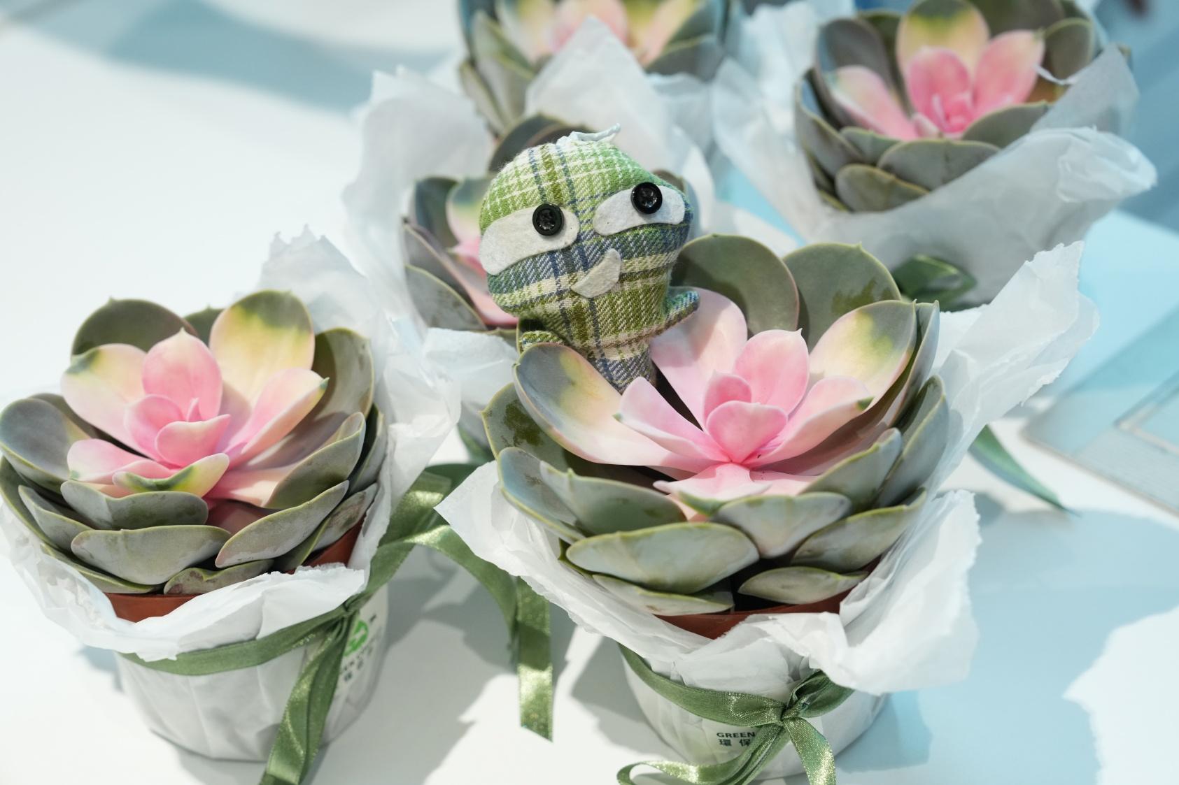 環促會「香港綠色日」啟動禮 委執委會主席施永青籲港人節約資源