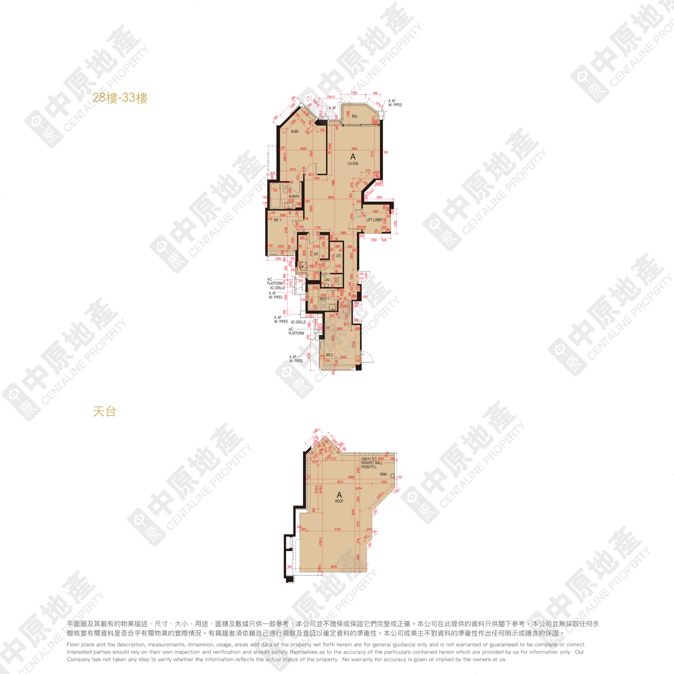 單位及天台平面圖。