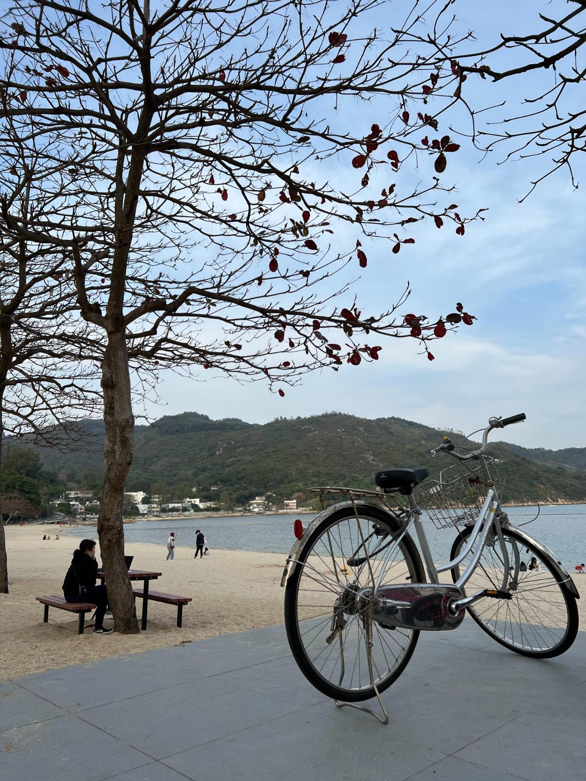 依照套餐所選單車騎乘,暢遊酒店週遭