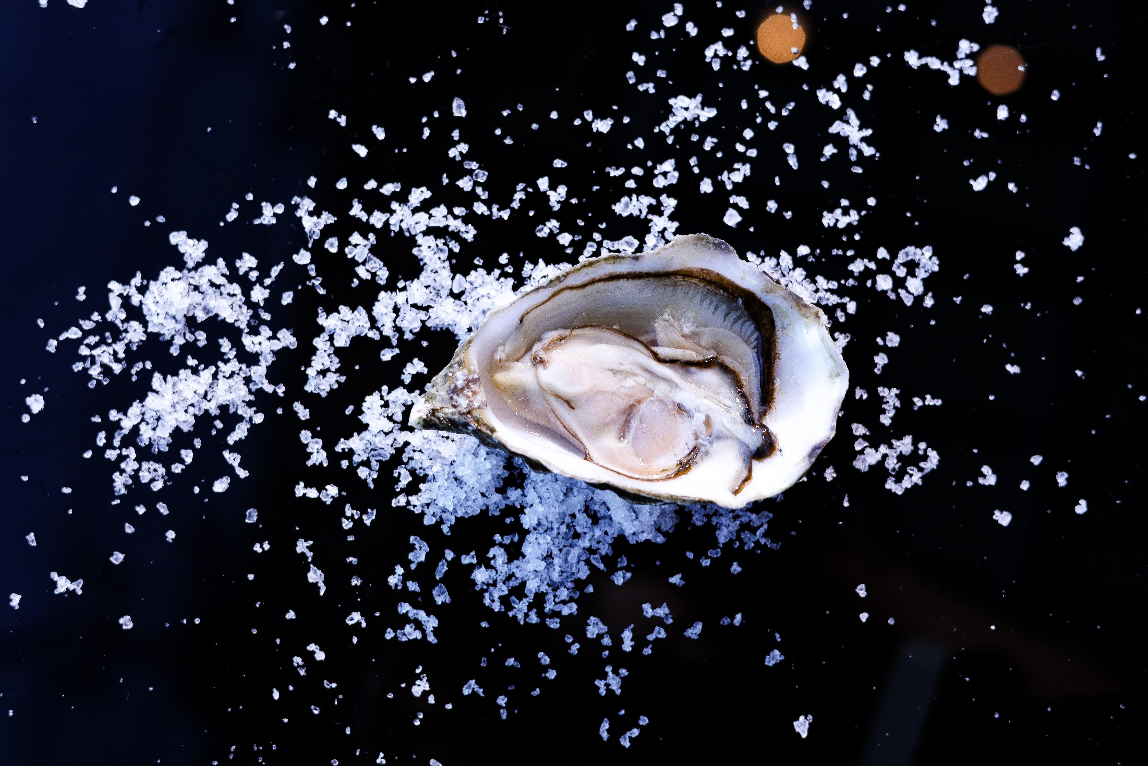 吉拉多生蠔 Gillardeau (法國) (港幣$95)