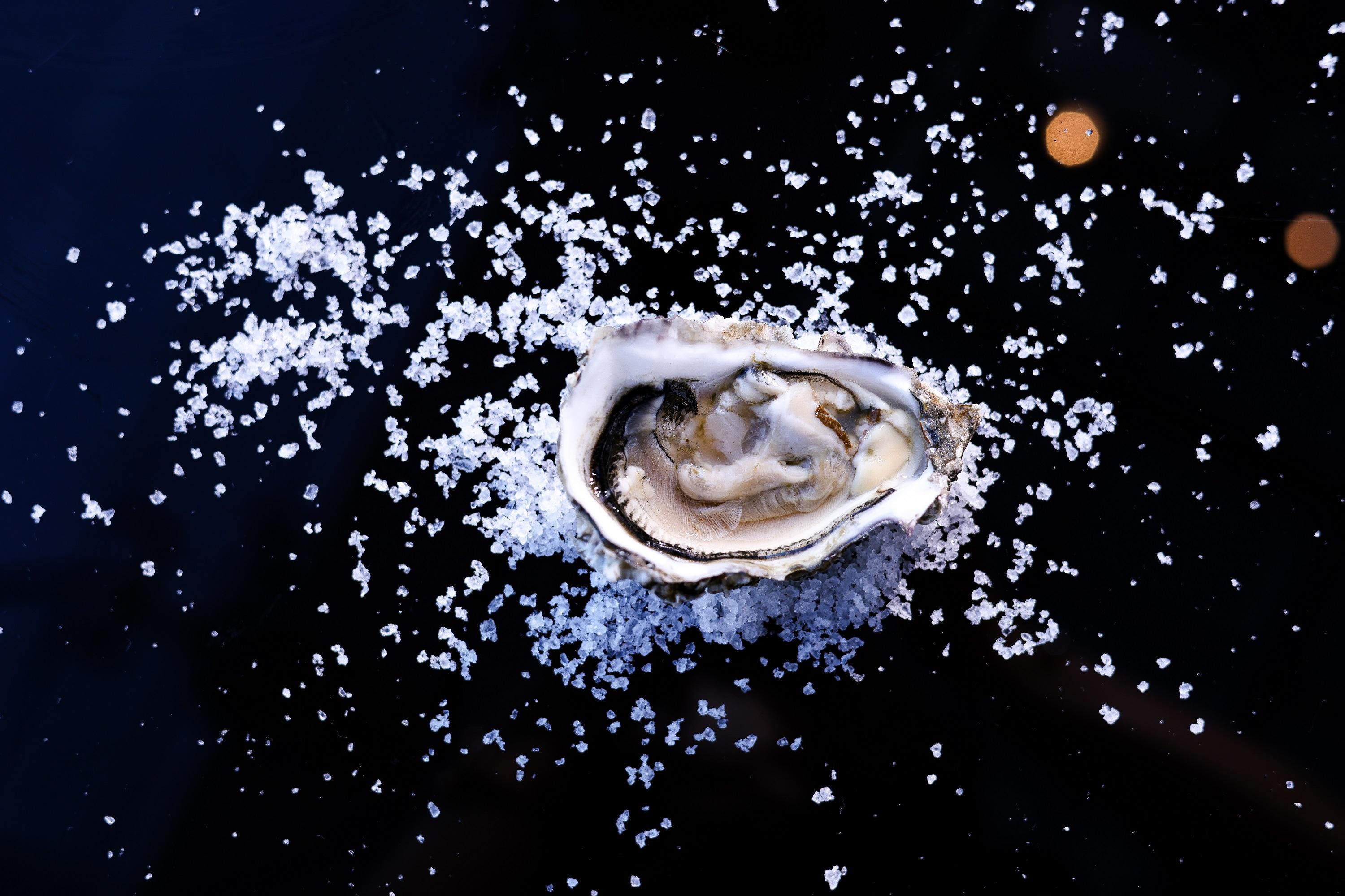 太平洋石蠔Pacific Rock (美國) (港幣$65)