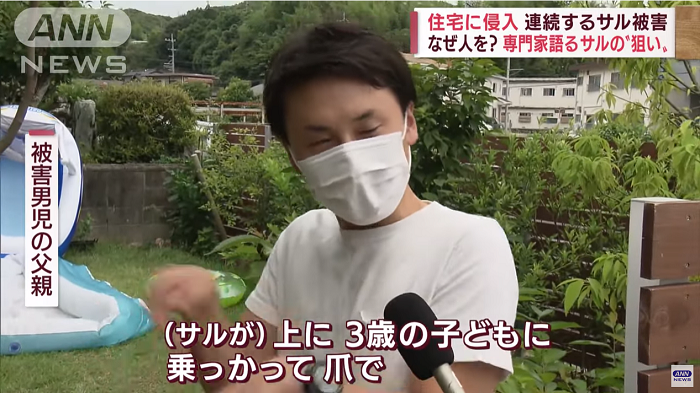 其中一名被害小童家長,示範野猴抓傷小孩。(新聞截圖)
